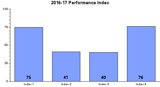 Performance Index Report